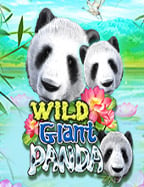 ทดลองเล่น ตู้ สล็อต ผล ไม้ ไทย ประสบการณ์ใหม่ที่น่าลอง